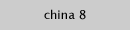 China 8