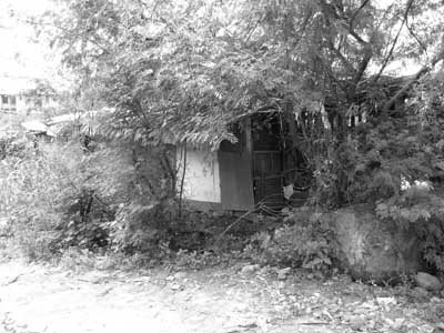 DSCN0075