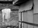 DSCN0066