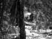 DSCN0079