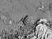 DSCN0085