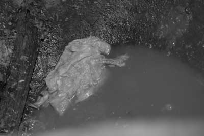 DSCF0063